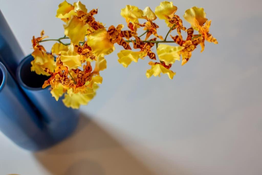 Mimosa- Loft Elegante Con Terrazza Nel Centro Di
